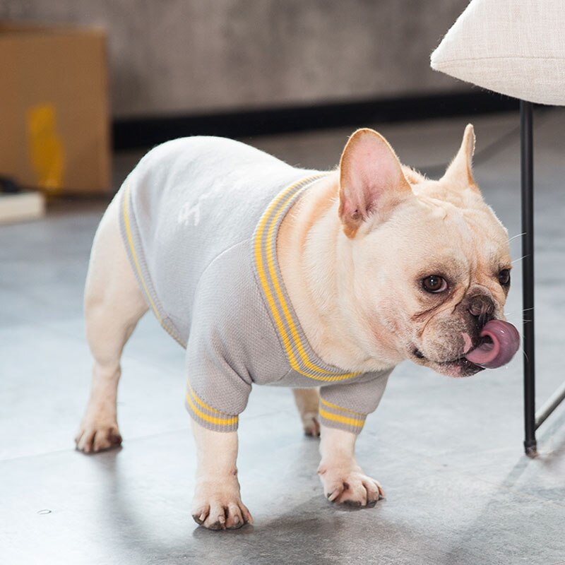 Fathin varm hund genser fransk bulldog liten stor bokstav hundeklær sml xl: Grå / S