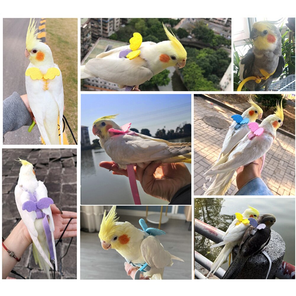 Set di guinzagli regolabili per imbracature per pappagalli corda da volo per allenamento all&#39;aperto con ala per piccoli accessori per animali domestici Budgie di medie dimensioni