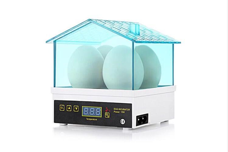4 Mini Cheap Price Digital Temperature Small Brooder Egg Incubator Hatcher Chicken Duck Bird Pigeon Quail poultry equipment