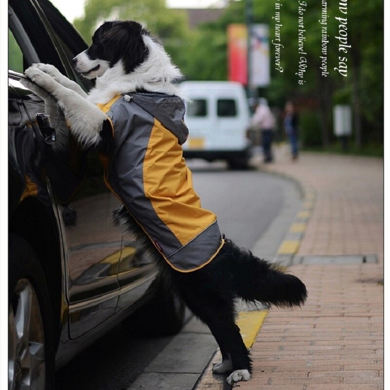 Imperméable pour chien, grand poncho pour chien, imperméable à capuche, réfléchissant, imperméable, durable, adapté aux chiens de grande et moyenne taille, vert, wlyang