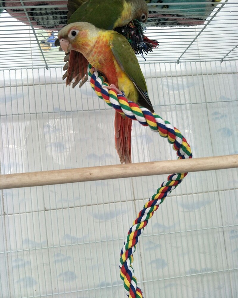 Huishouden Vogel Speelgoed Producten Prachtige En Goed Uitziende Vogel Speelgoed Opknoping Touw Baars Papegaai Speelgoed Roterend Voor touw Bungee