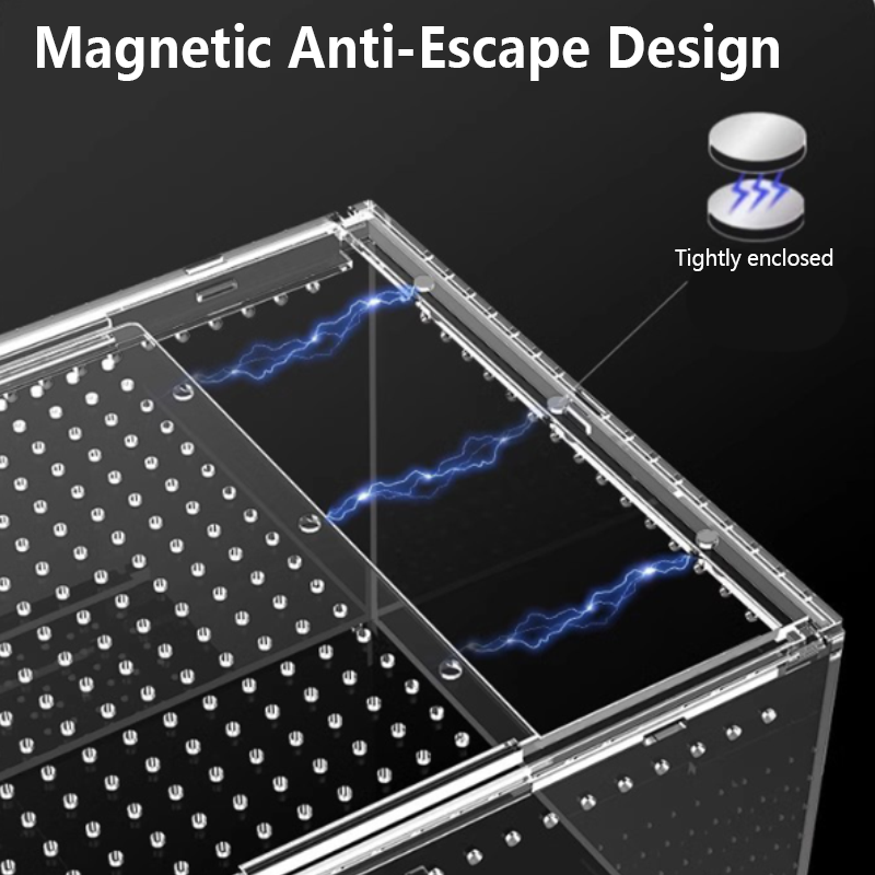 Petite boîte d'élevage de reptiles, Ventilation, amphibiens, Terrarium, élevage d'insectes, araignée, enceinte arboréale, Cage d'habitat de lézard