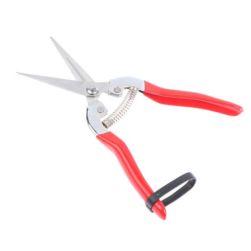 High Carbon Steel blade pruning cut Shrub tool Plant horticulture leaf trimmer Shear Scissor pruner Garden fruit flower Orchard