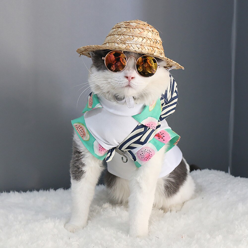 Accessoires de chapeau d'été pour animaux de compagnie, chapeau de paille pour chiens et chats, bouledogue français, carlin, pare-soleil, accessoires pour Photo