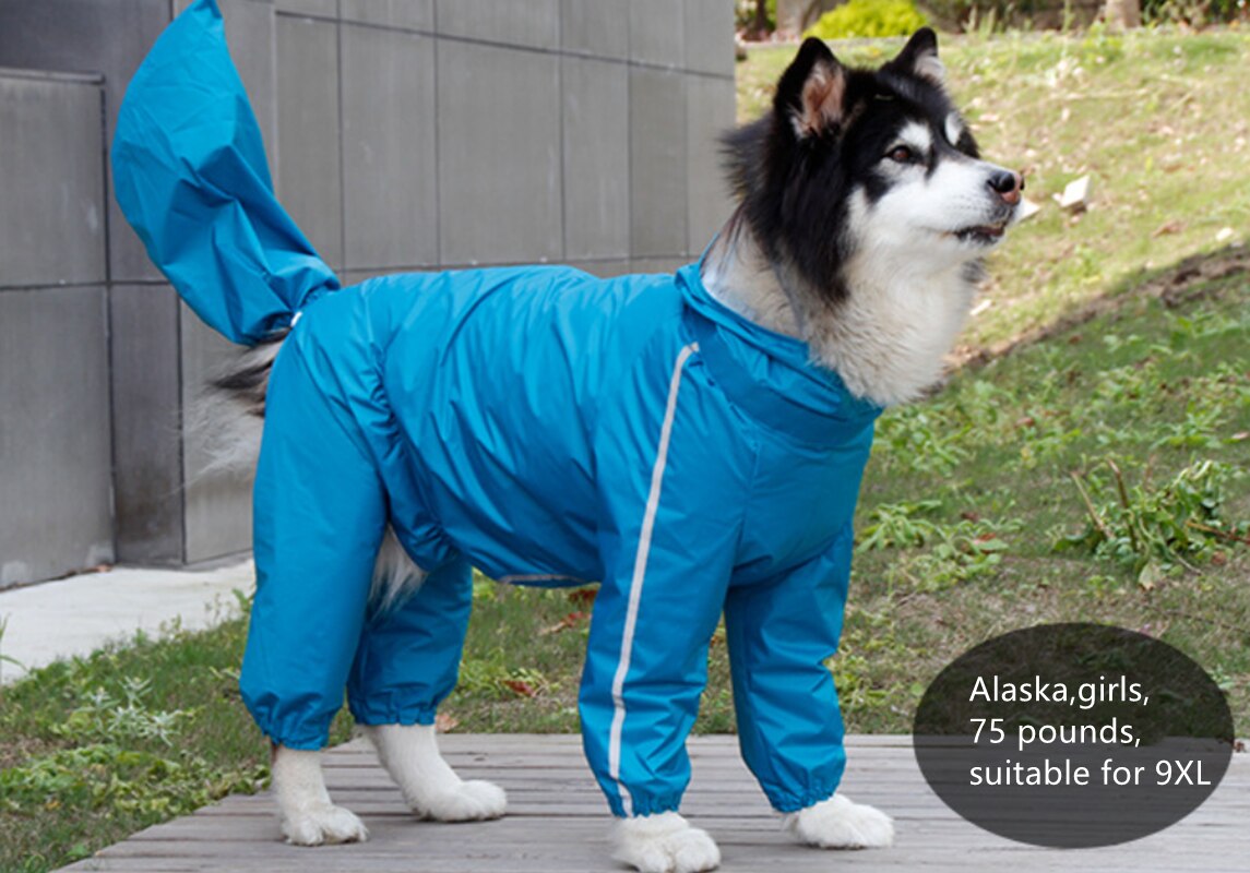 Dog Raincoat, Waterproof Jacket with Hood, Full Body Coverage Dog Rain Coats，Reflective Removable Tail Cover, Transparent Brim: Blue girls / 8XL