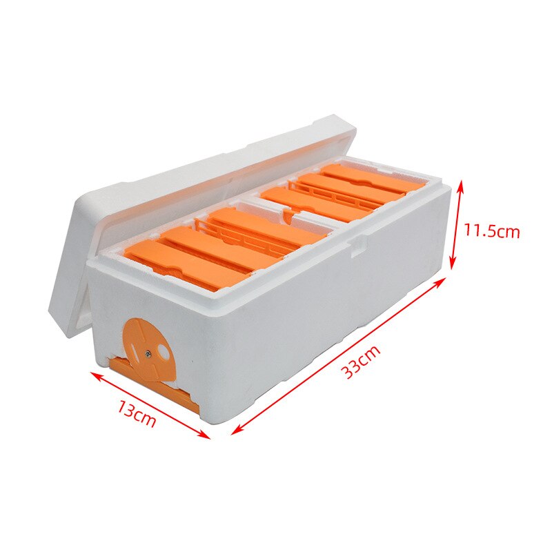 Caja de apicultura, Mini caja de aparejo de colmena de abejas de alta resistencia, de plástico EPS, dos Reinas, vivero, para 500-1000 abejas