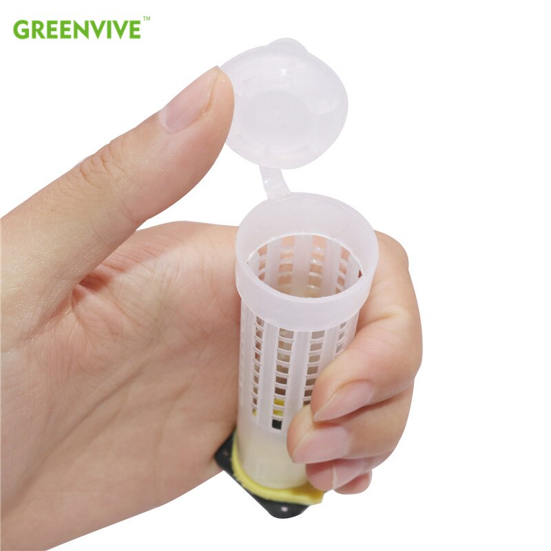 10 sztuk pszczoła królowa klatki plastikowa pokrywa ochronna klatka komórka skrzynka puchar hodowli nowe pszczoły król narzędzia pszczelarstwo pszczelarstwo zestaw pszczelarstwo