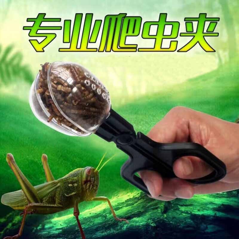 Pince pour animaux de compagnie orge Reptile insecte pain insecte Culture insecte alimentation nettoyage pince fumier plastique pince