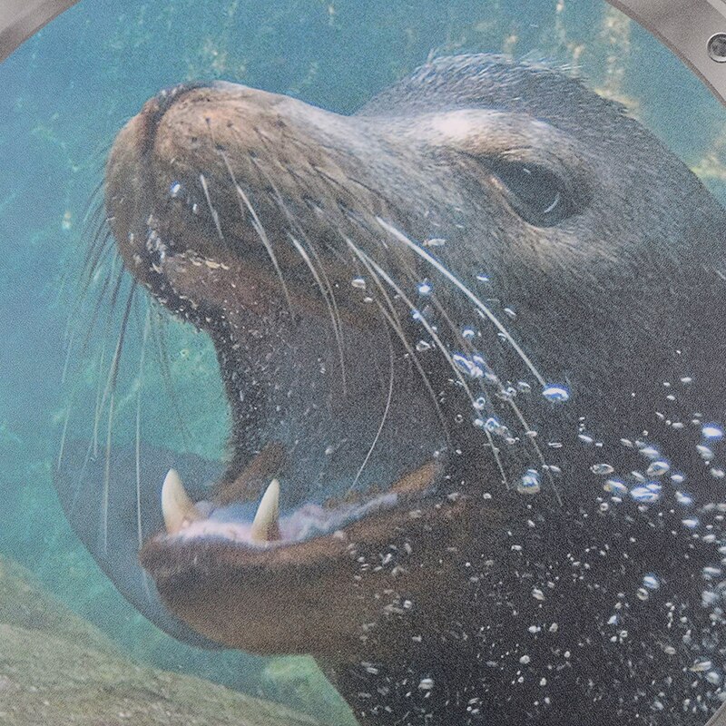 1PC Underwater Fish Wall Stickers Waterproof Dolphin Turtle Sticker for Washing Machine Decoration for Bathroom Decals PVC: C