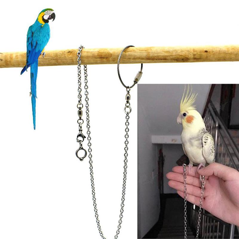 Rvs Vogel Papegaai Voet Keten Huisdier Enkel Voet Ring Stand Chain Creatieve Papegaai Outdoor Vliegende Training Vogel Accessoires: 5.5MM