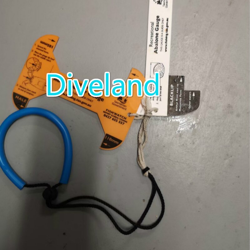 Dragonne de sécurité universelle étanche pour plongée sous-marine, ajustable, pour appareil photo sous-marin, torche, lampe de poche, poignée