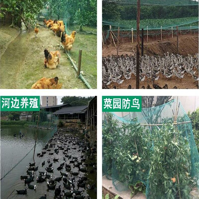 Strong fence net Golf net Pet protection net Garden protection net Chicken and duck breeding Garden protection net Gardening sup