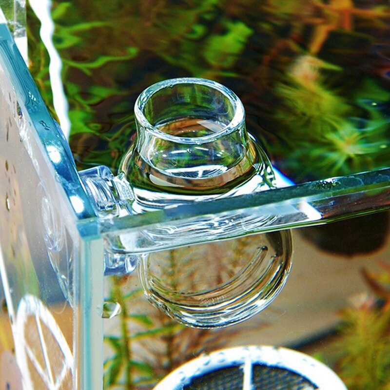 Glas feeder tragt kop fisk mad foder værktøj artemia æg røde orme mad akvarie akvarium fodring bowla med sugekop