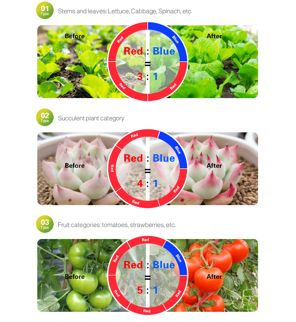 Lámparas LED Phyto para cultivo de plantas, tira de luces LED SMD 5050, CC de 12V, lámparas de luz para crecimiento de plantas hidropónicas de invernadero