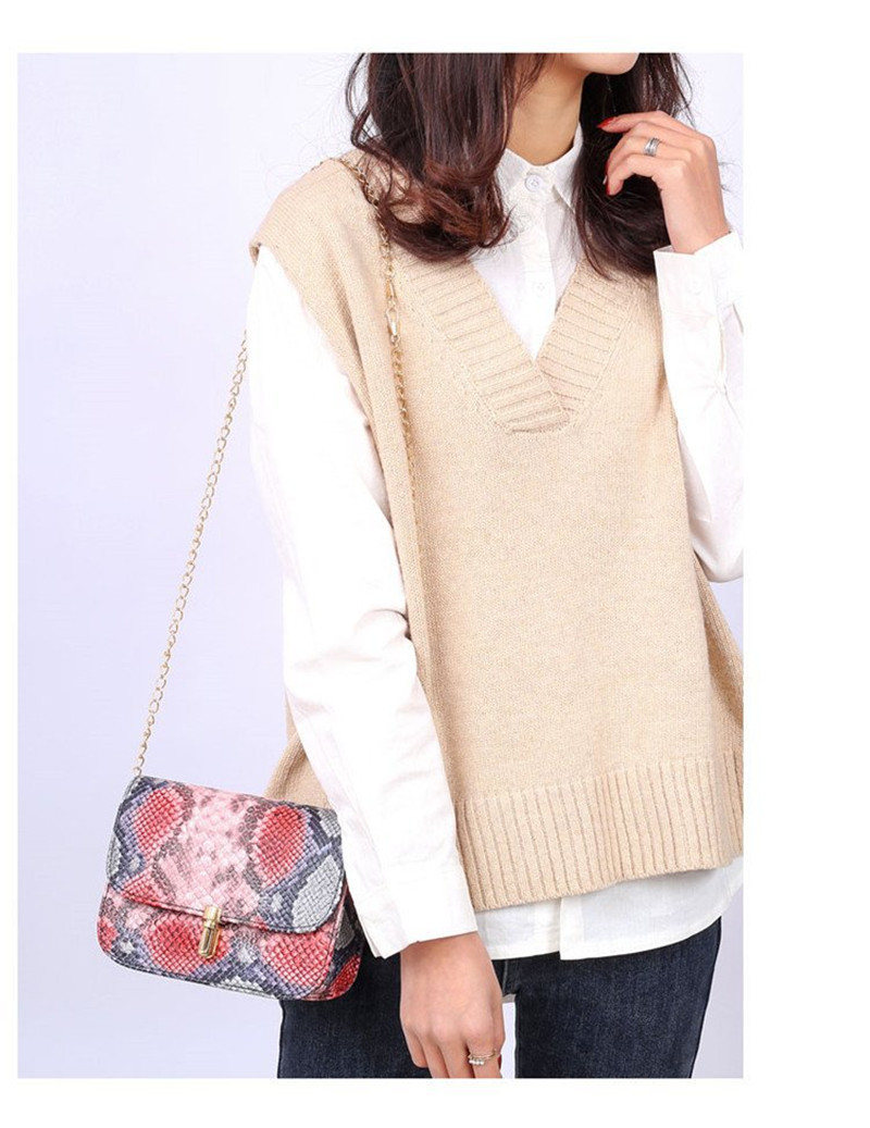 2020 nuove Donne di Modo borse Borse Flap Crossbody Borse Catena Selvaggio Ragazze Del Serpente di Stampa Sacchetto del Messaggero Della Spalla