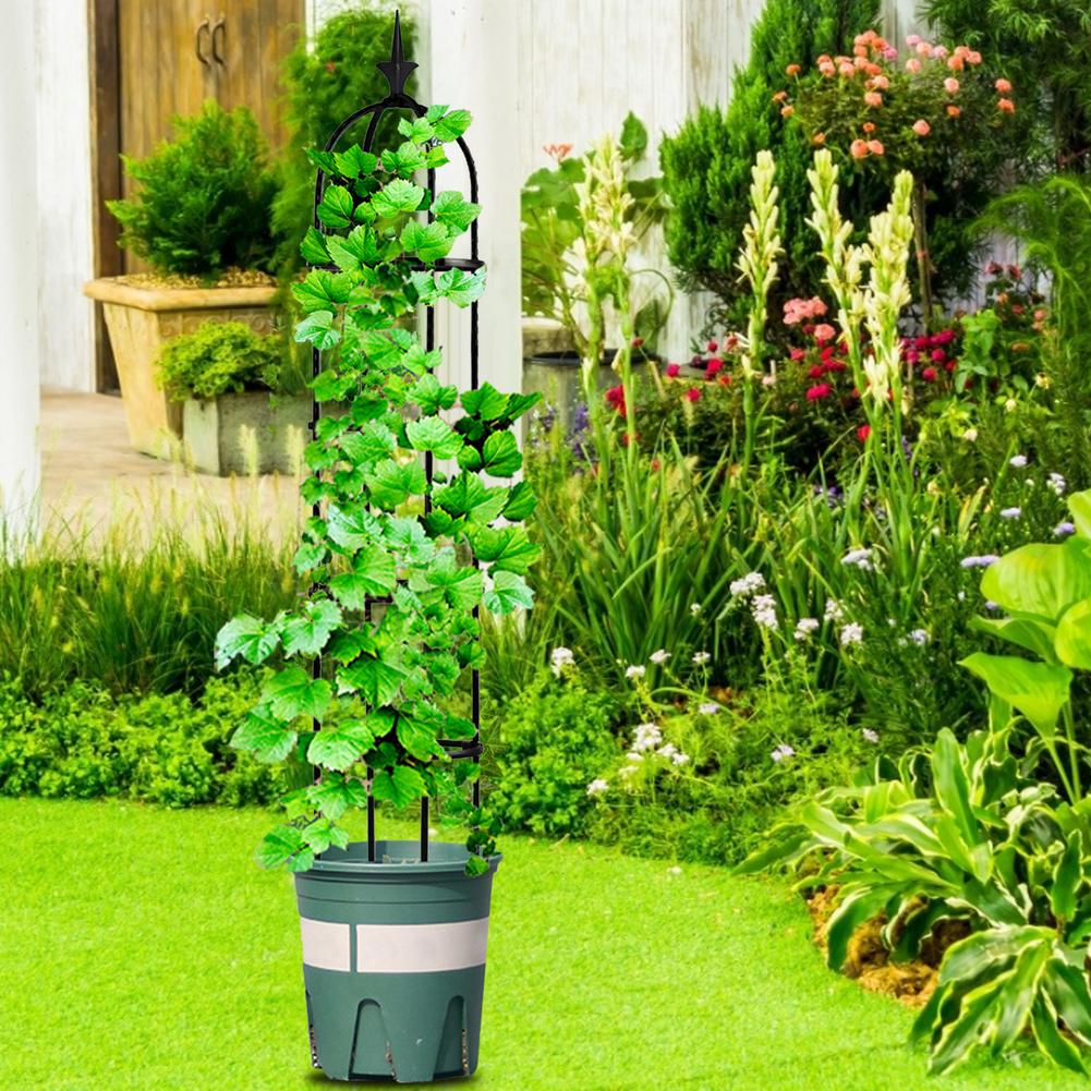 Obelisk plante klatreplante vinstativ haveplante klatreespalier splejset stål blomsterramme stativ plante pottestøtteramme