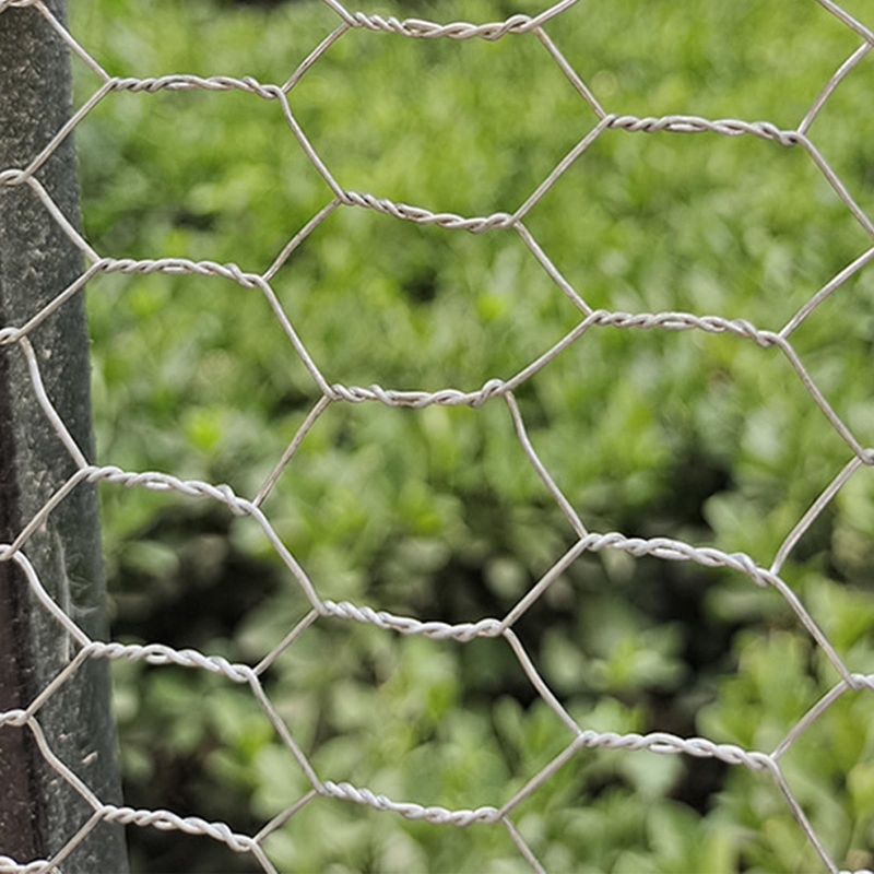 Red de cerca de animales para jardín, malla de alambre Hexagonal galvanizada duradera, resistente a los arañazos, para pollo, conejo, 95AA