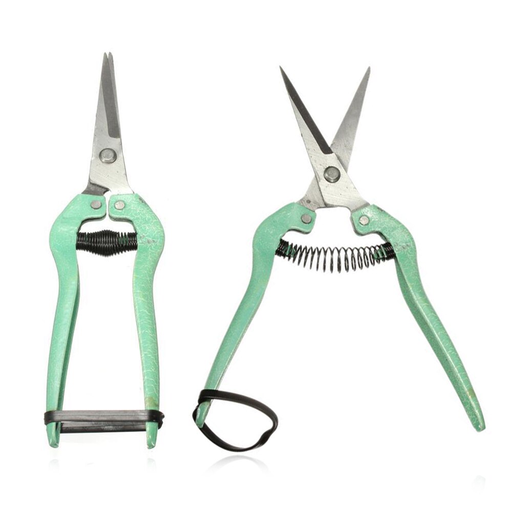 19.5cm Straight pruning cut Shrub tool Plant horticulture leaf trimmer Shear Scissor pruner Garden fruit flower