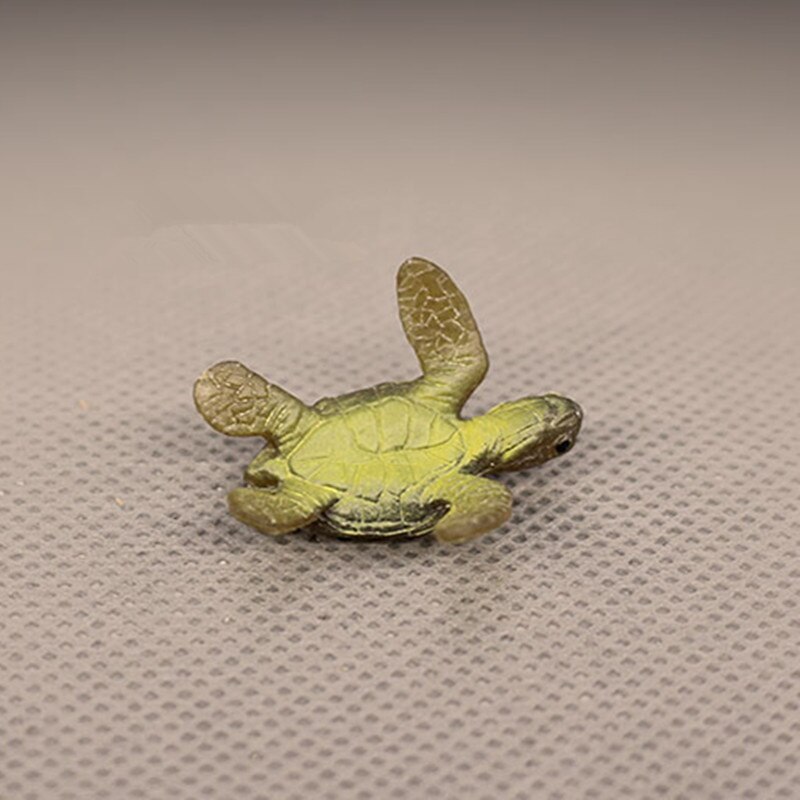 5Pcs/Set Mini Plastic Model Sand Table Toys Mini Turtle Model Ornaments