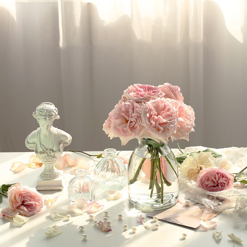 Maceta de estilo nórdico para decoración del hogar, Mini florero de vidrio, decoración transparente para sala de estar, romántico francés