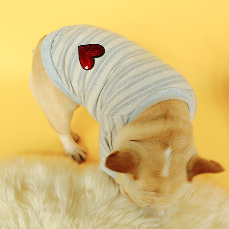 Hundkläder valp hund fransk bulldog corgi brittisk bulldog gentlemantröja benvit rosett skjorta med rund hals