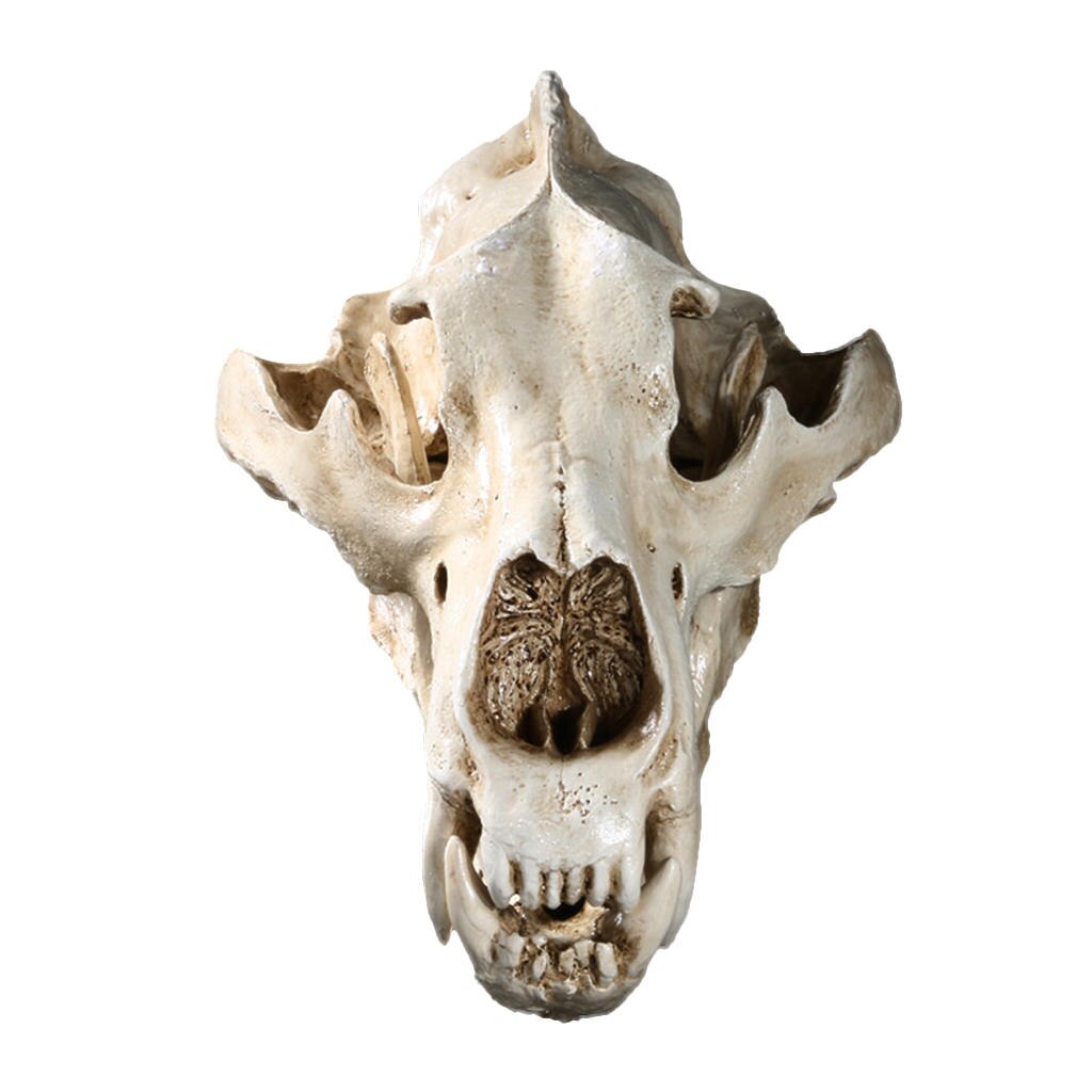 Witte Ijsbeer Hars Split Schedel Hoofd Model Ornament Home Bar Diy Decor