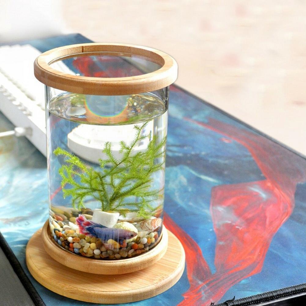 Mini pecera de vidrio con Base de bambú para decoración de peces, accesorio giratorio ecológico para acuario, 1 pieza, M0z4