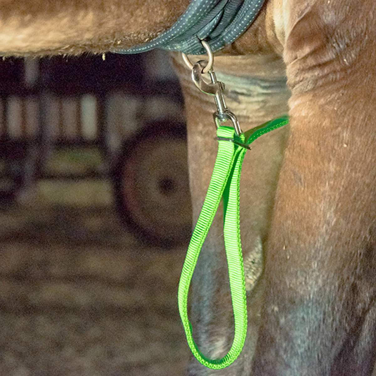 3 ledet sele hest brystplade nylon bryst krave bælte lys nat synlig sikker ridning udstyr bælte justerbar