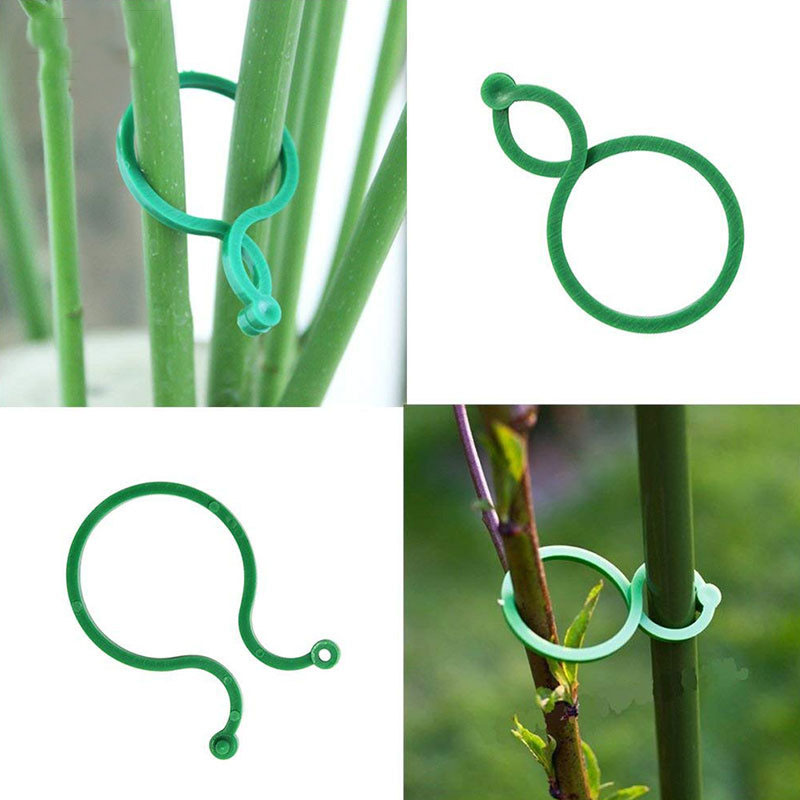Enrejado para jardín con soporte de plantas, enrejado para cultivo de tomates y verduras, soporte vertical para plantas de jardín, herramientas de jardinería, 20 uds.