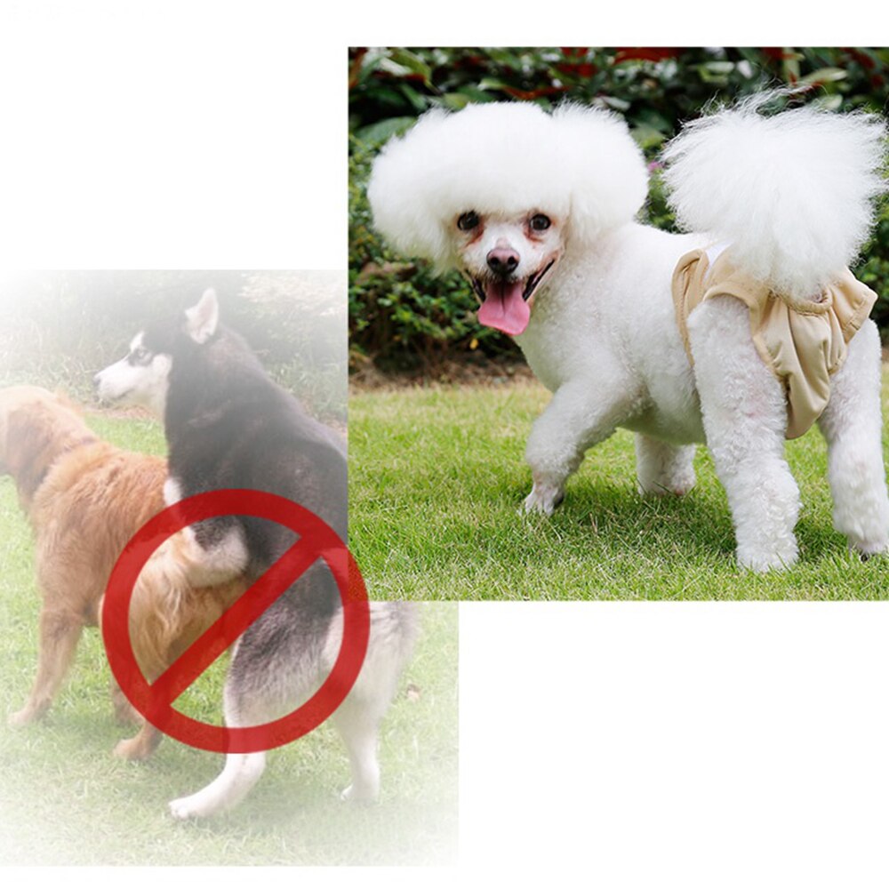 Couche-culotte lavable pour chien, XS-XL animaux domestiques, pantalon physiologique, culotte, Menstruation