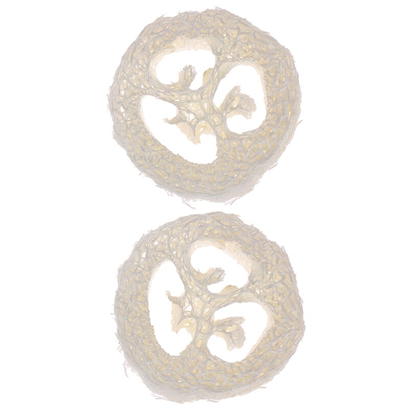 12Styles Natural Carbide Wood Soap Dish Wooden Soap Container Travel Wood Soap Box Shower Plate Bathroom Soap Holder: style12