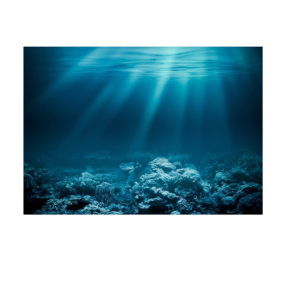 Cartel de fondo de acuario no tóxico, pegatina de tanque de peces de PVC, decoración de paisaje