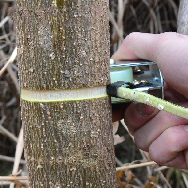 Bark Cutter Met Wielen En Stretch Film Tape Girdling Fruit Boom Schaar Slijtvaste Ring Tuin Schors Peeling Tool