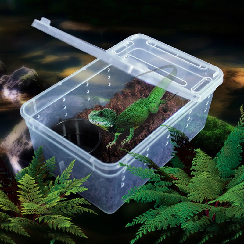 Transparante Plastic Doos Hagedissen Insect Reptiel Vervoer Fokken Levend Voedsel Ademend Voerbox