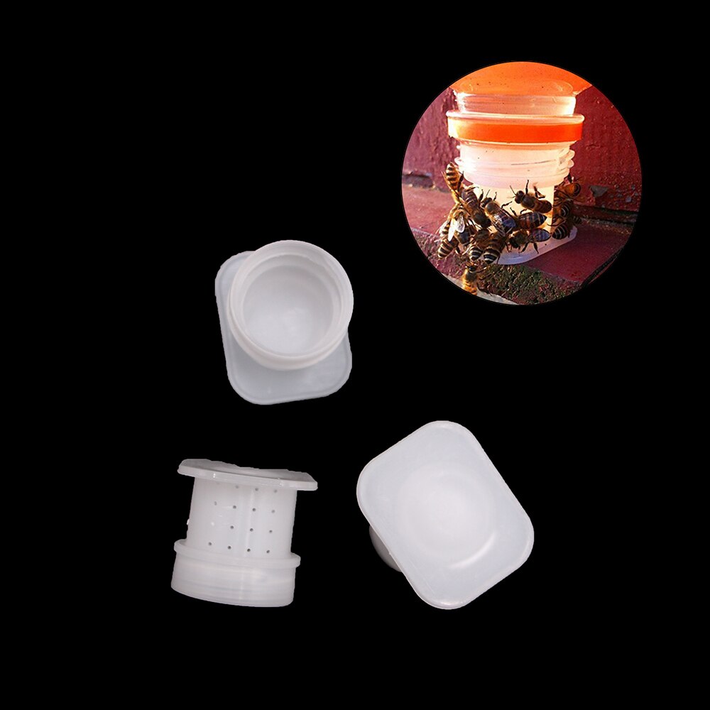 Alimentador de abejas y miel, 5 uds., pequeños orificios de plástico para prevenir ahogamientos, alimentadores, herramientas de alimentación, suministros de apicultura, granja de abejas en jardín