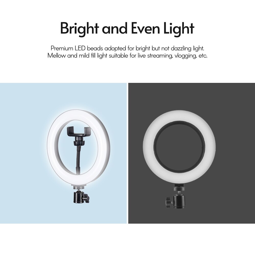 Ring Light 8 Inch Fill LED Light USB Powered Stepless Dimming with Ball Head Phone Clamp for Makeup Selfie Photography Lighting