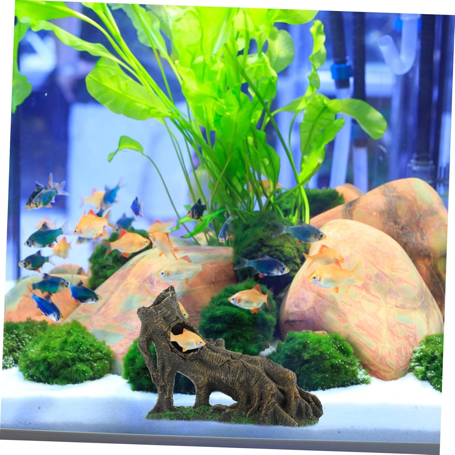 Hars Reptiel Verbergen Grot Terrarium Decoratie Hagedissen Slang Schildpad Onderdak Verbergen Rest Grot Reptielen Doos Aquarium Landschap Decor