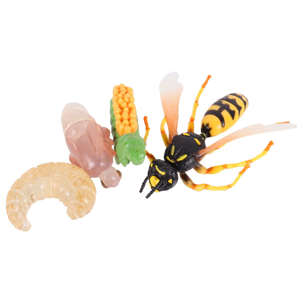 1 Set/4Pcs Simulatie Insect Evolution Model Wesp Groei Cyclus