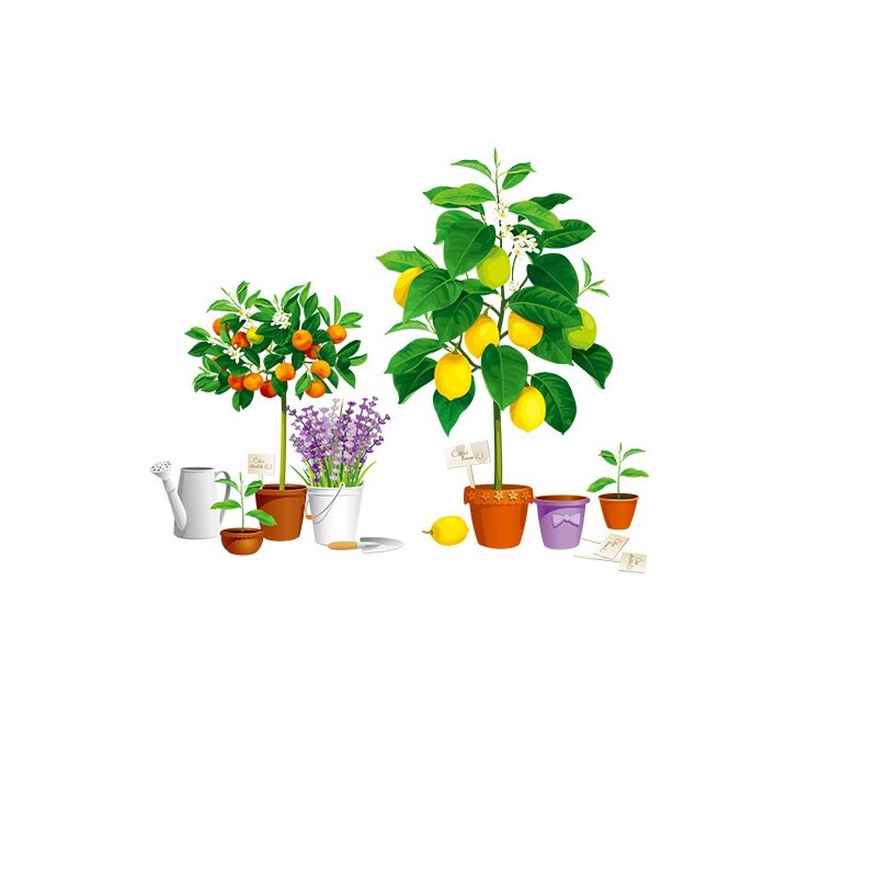 Large 3D Potted Plant Wall Stickers Lemon Orange Tree Lavender Decals Kitchen Corridor Living Room Decor Mural Vinyl Baseboard: Default Title