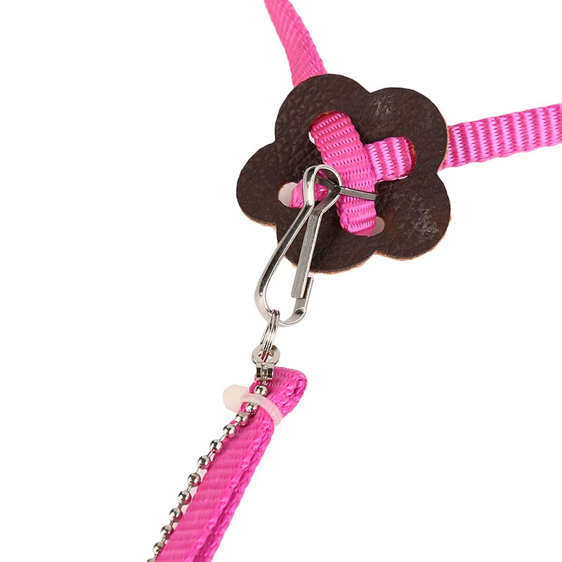 Anti-bite Flying Training Rope Parrot Bird Pet Leash Kits Ultralight Harness Leash Soft Portable Pet Playthings