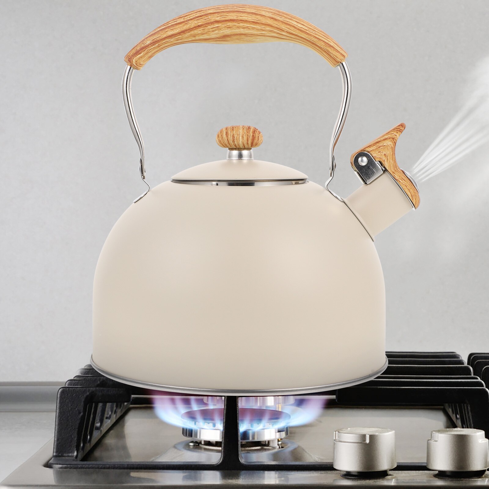 1Pc Boiling Tea Kettle 2.5L Antique Stainless Steel Flat Bottom (Beige)
