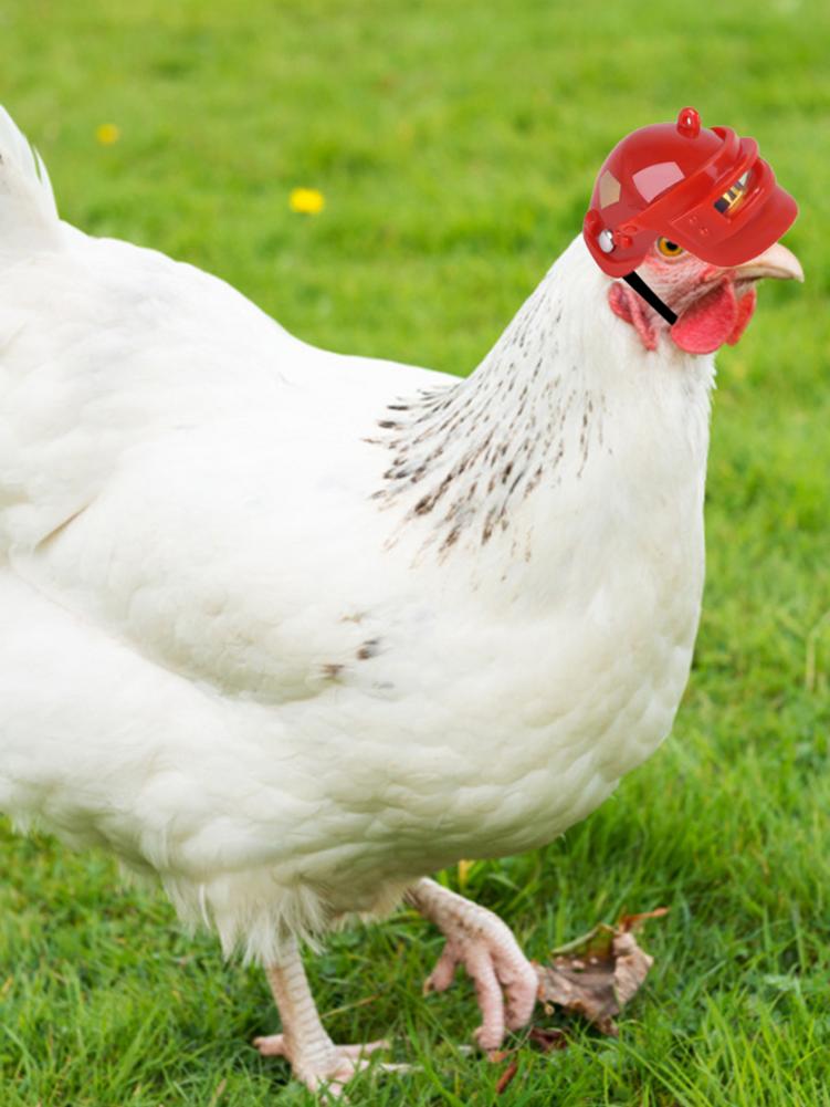Animal de estimação capacete engraçado frango capacete pequeno animal de estimação chapéu duro cabeça proteção compacto galinha galinha chapéu duro suprimentos para animais de estimação