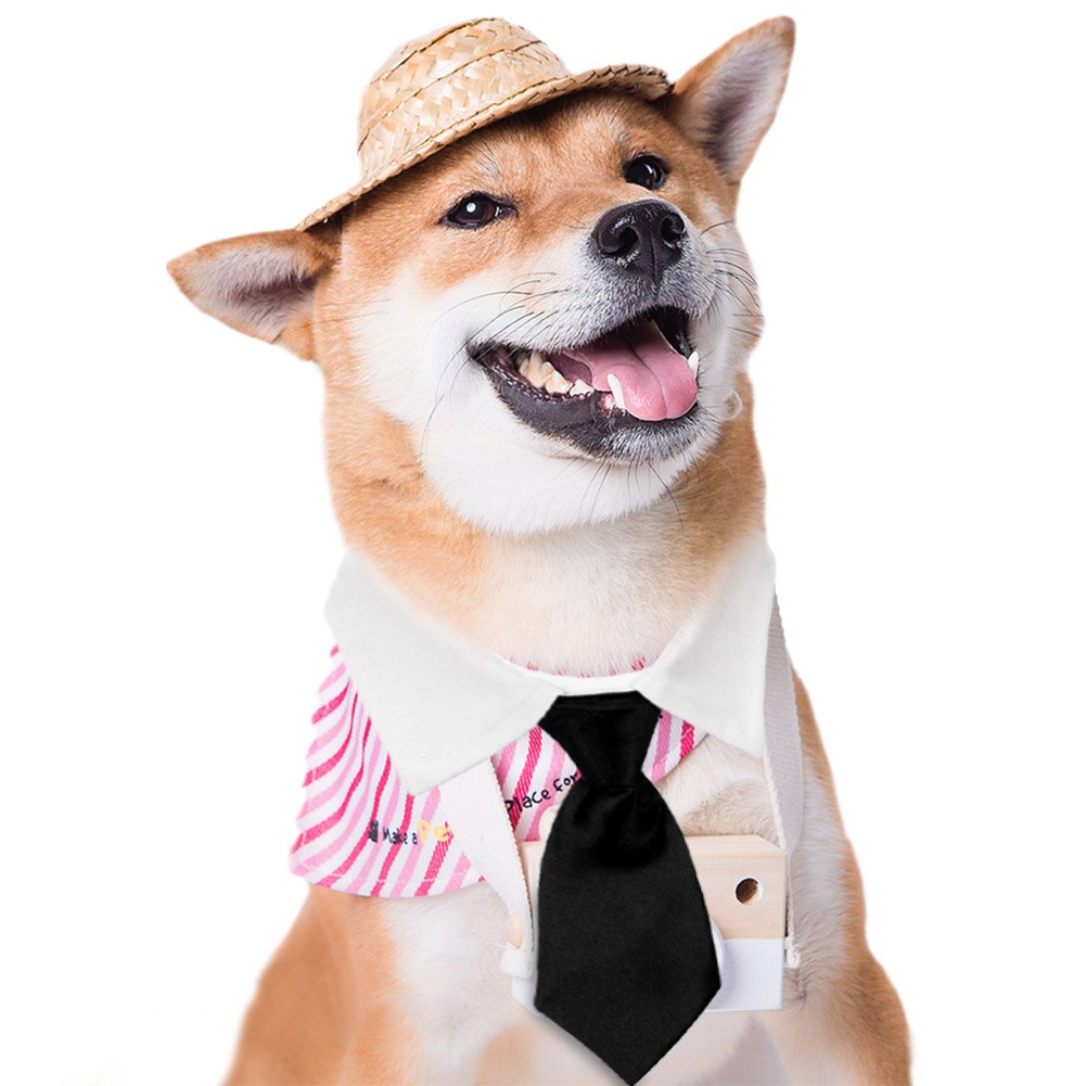 Moda obroża dla kota/psa muszka bawełna zwierzę domowe formalny krawat na wesele