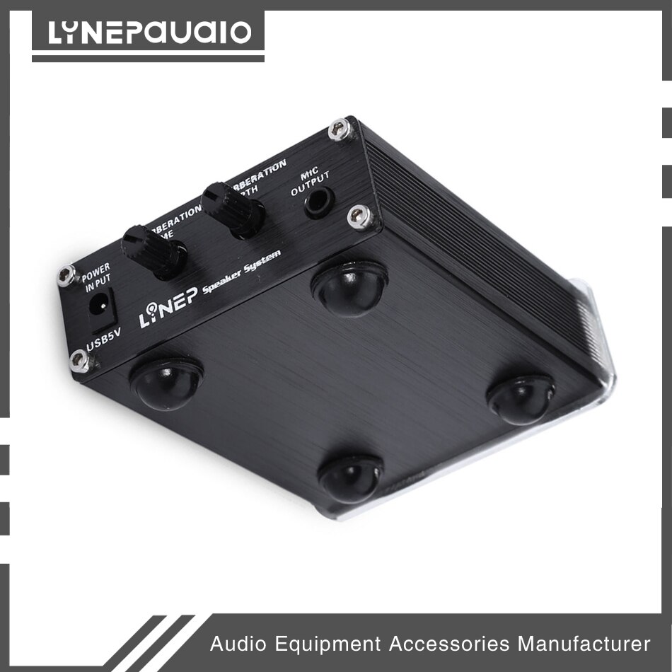 Microphone Preamp 2-Way MIC Pre-Amplifier Reverberation