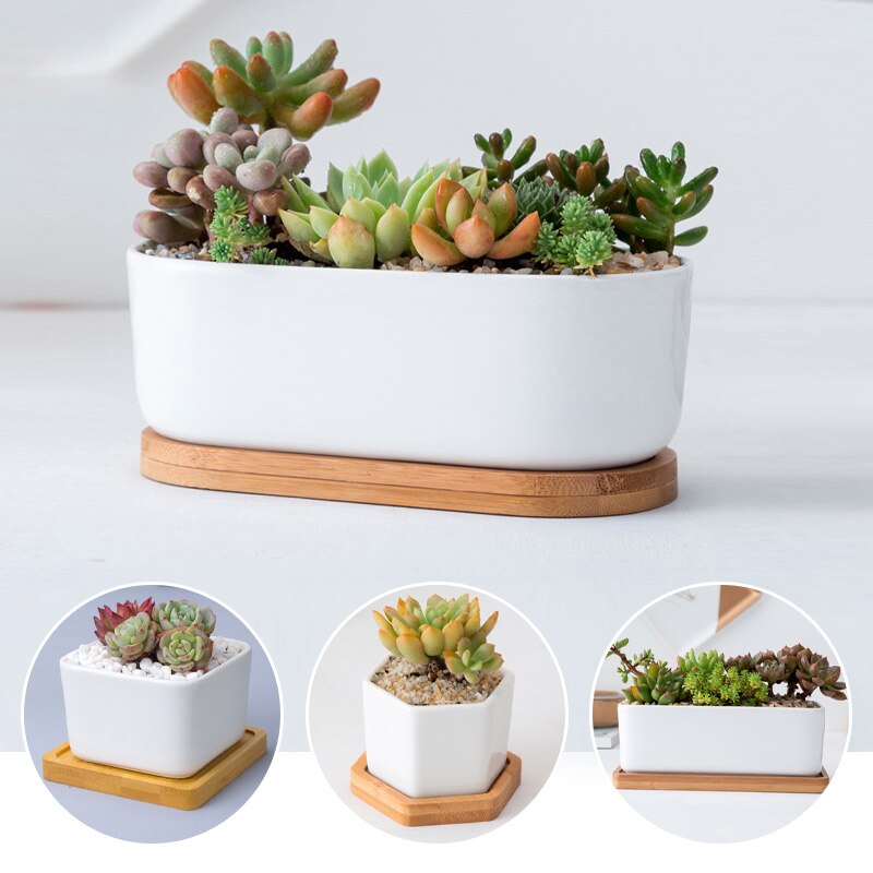 Minimalist Simple White Desktop White Ceramic Flowerpot With Bamboo Tray Succulent Plant Pot Cactus Planter Flower Pot