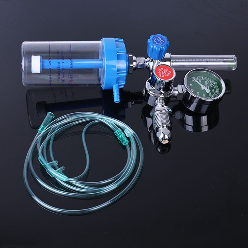 Oxygen Flow Meter Oxygen Flowmeter Pressure Gauge Oxygen Pressure Regulator 0-10L/min G5/8 for Elderly