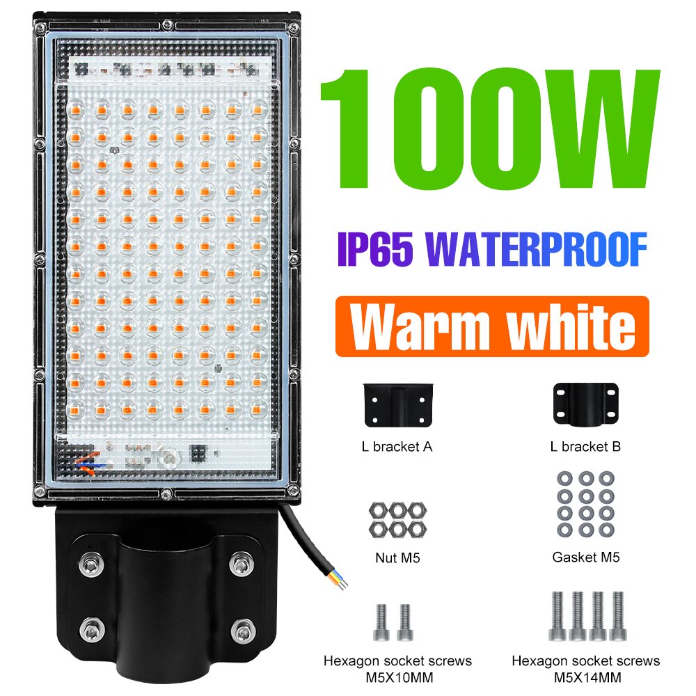 220V Led Licht Binnenplaats Wandlamp IP65 Waterdichte Lampara Led Street Lamp Parken Schijnwerper Billboards Straat Verlichting: Warm-White-100W