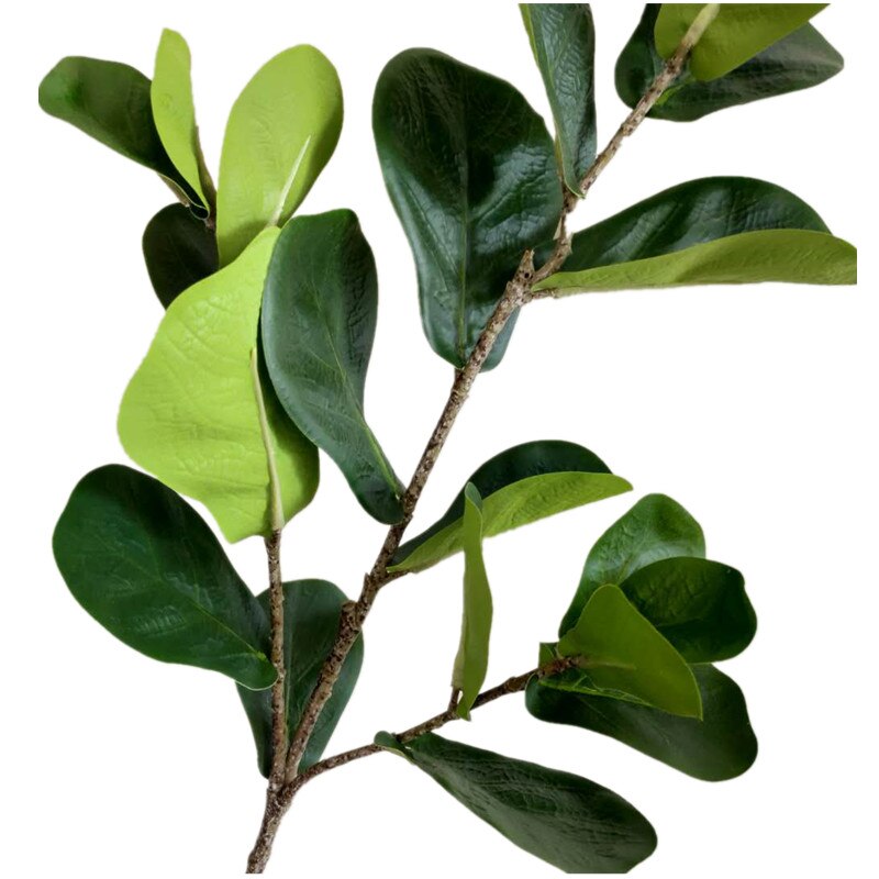 One Artificial Ficus Lyrata Leaf Branches Simulation Green Ficus lyrata Leaf Tree Stems Greenery Decorative Green Plant