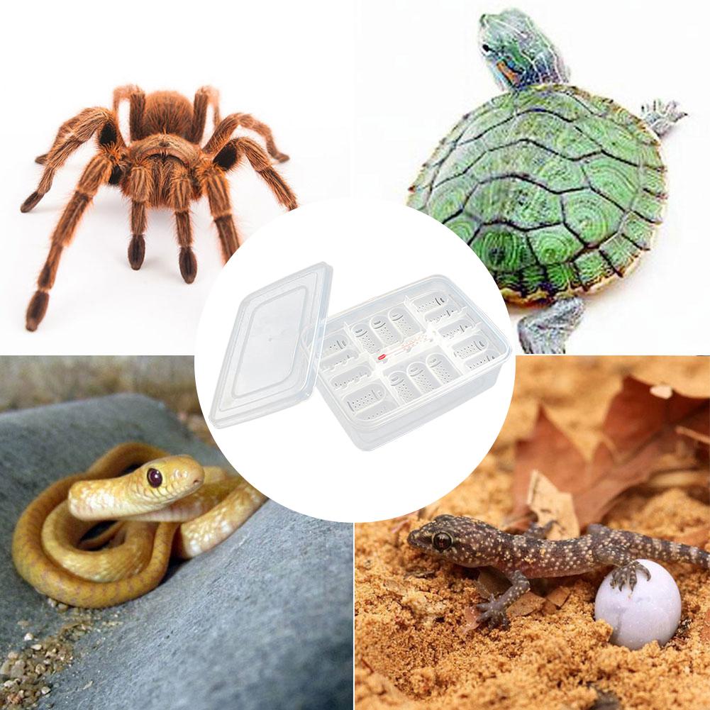 16 Grids Egg Hatching Guard Palace Snake Lizard Reptiles Hatching Egg Tray Reptile Hatching Breeding Box Incubator