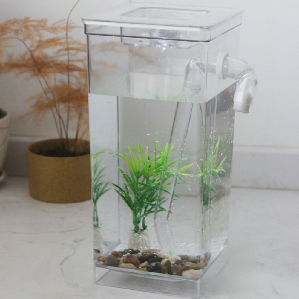 Desktop sjovt sæt økologisk akvarie akvarium selvrensende akvatiske kæledyrsartikler boligindretning guldfisk tank mini græs